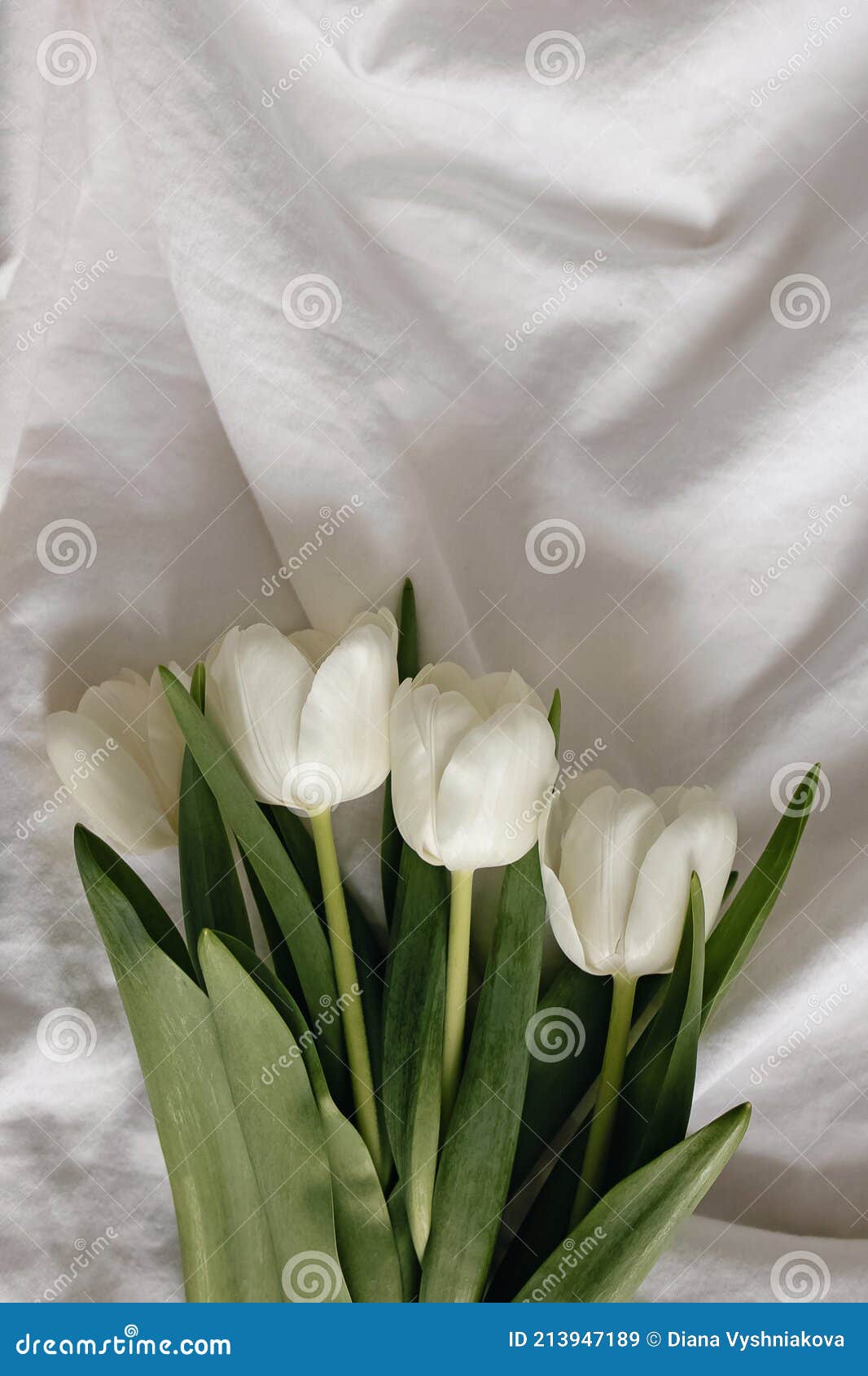 Ramo De Tulipanes Blancos En La Cama Imagen de archivo - Imagen de espacio,  interior: 213947189