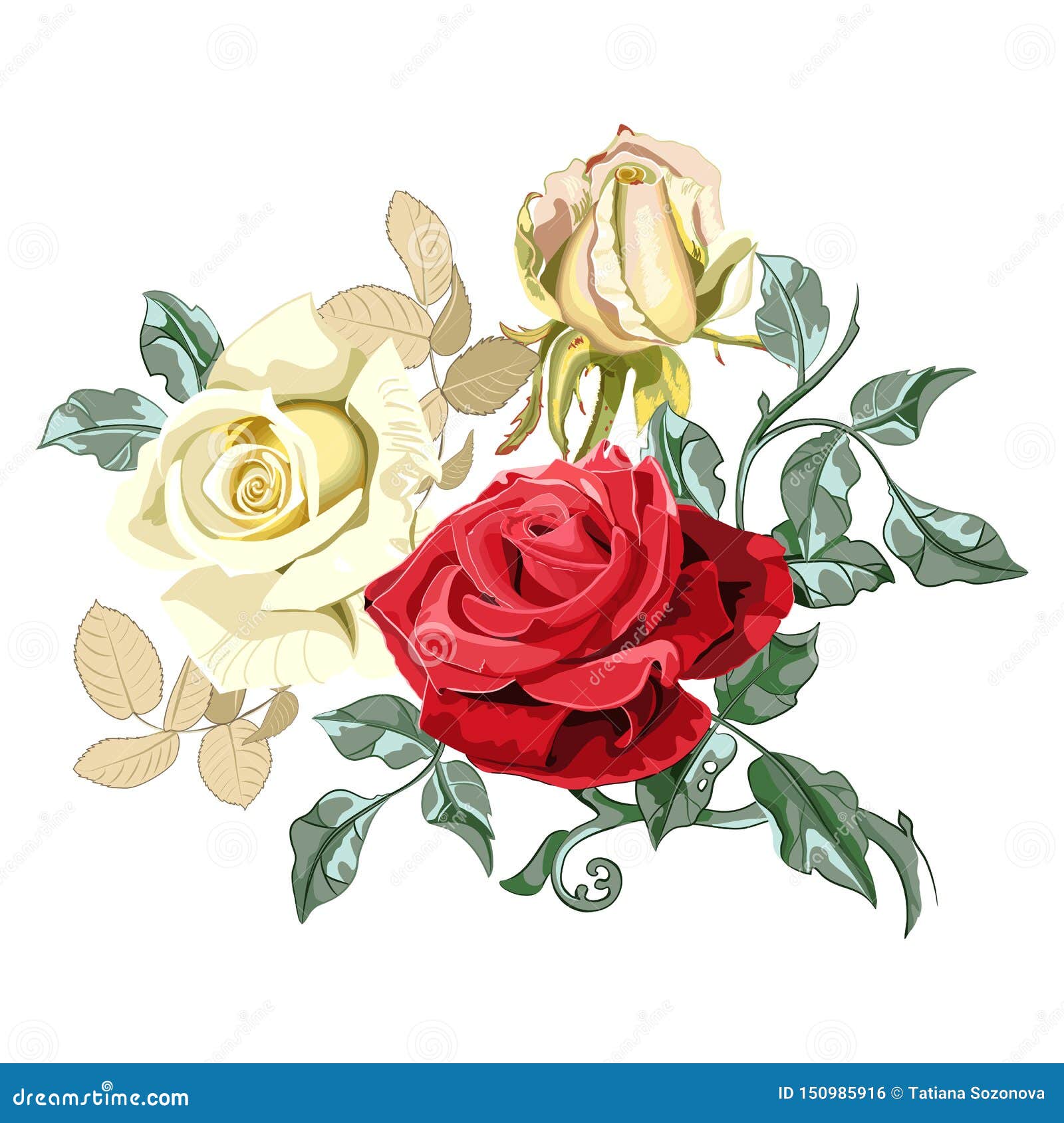 Ramo Del Centro De Flores De Rosas Hermosas En El Fondo Blanco, Cierre Para  Arriba Ilustración del Vector - Ilustración de cubo, ilustraciones:  150985916