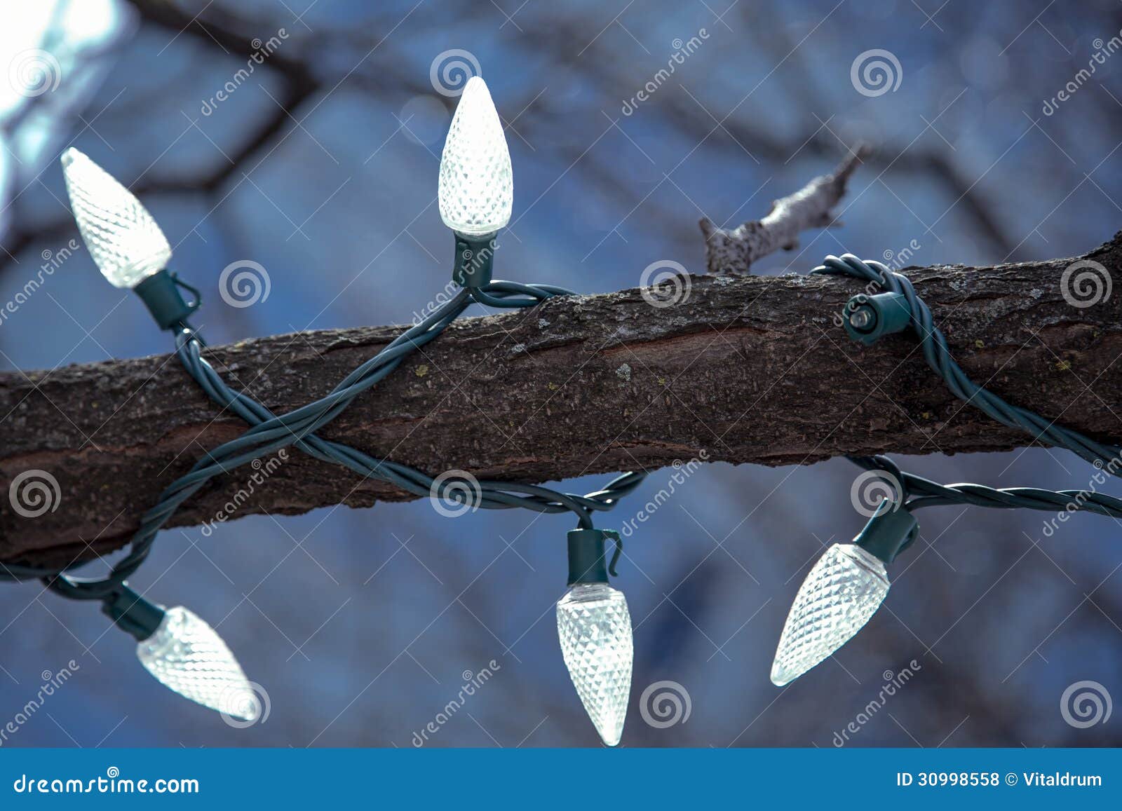Luci Albero Di Natale Ramo Per Ramo Ramo Di Albero Decorato Con Le Luci Di Natale Fotografia Stock