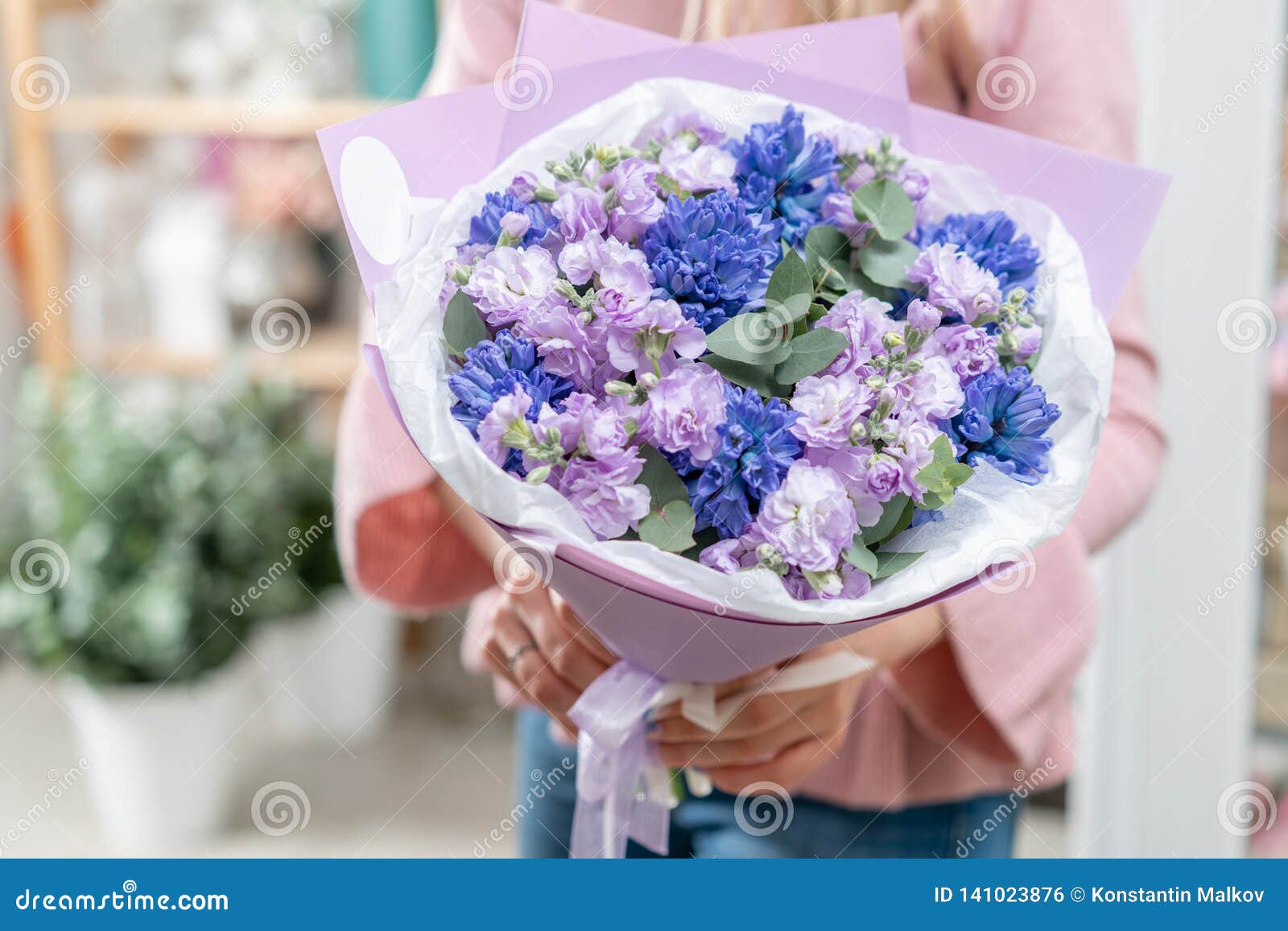 Ramos De Jacintos Azules Y Matthiola Del Color De La Lila En Mano De La  Mujer Flores De La Primavera Del Jardinero Holandés Conce Foto de archivo -  Imagen de resorte, neerlandeses: