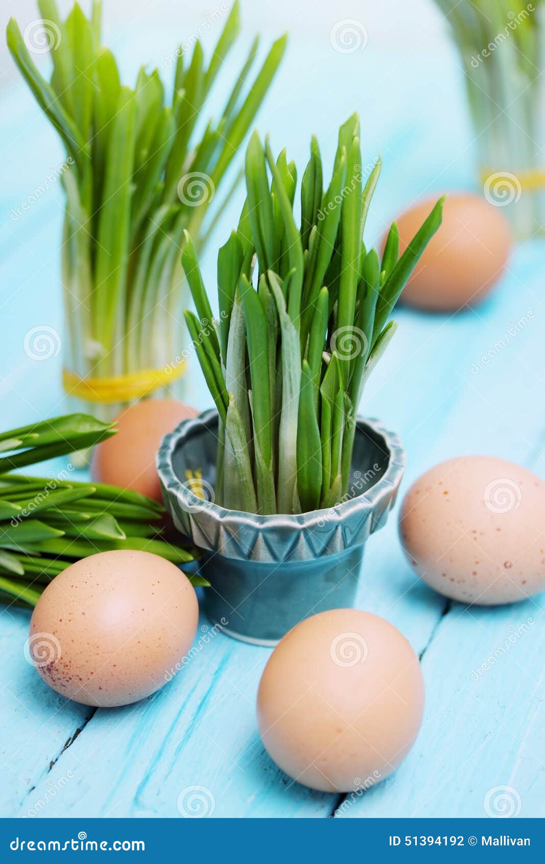 Ramson Sprouts Boiled Eggs Stock Photos Free & RoyaltyFree Stock