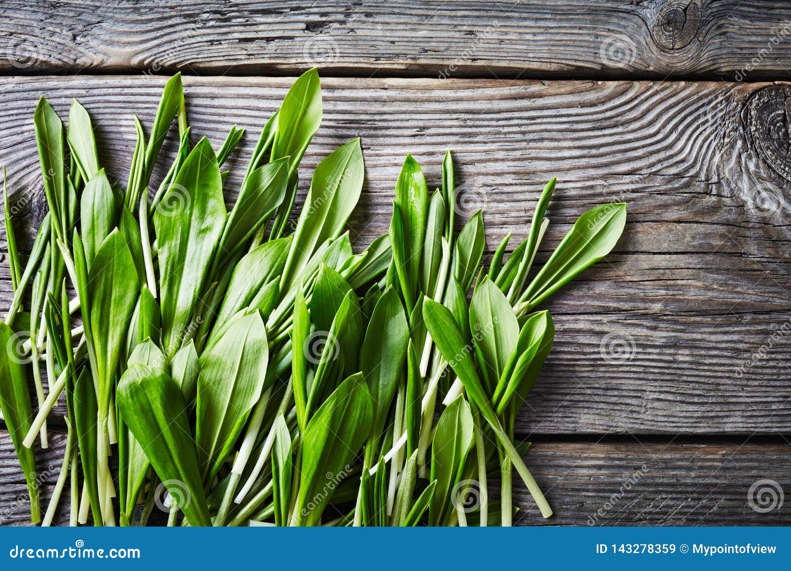 Ramsons Wild Garlic On A Wooden Table Stock Image Image Of Spring Salad Ramsons Wild Garlic On A Wooden Table Stock Image Image Of Spring Salad