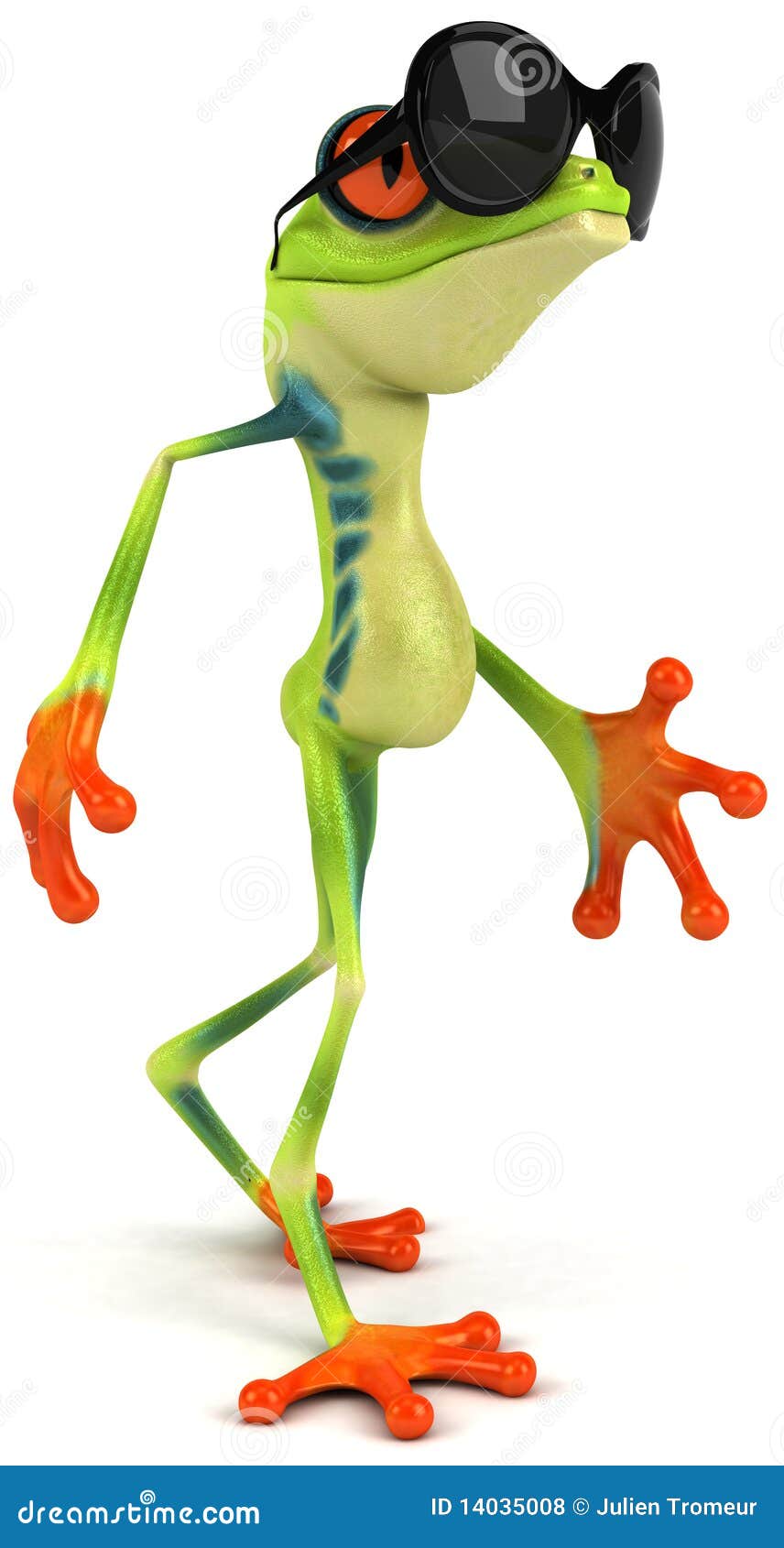 Rana las gafas de sol stock de Ilustración tropical - 14035008