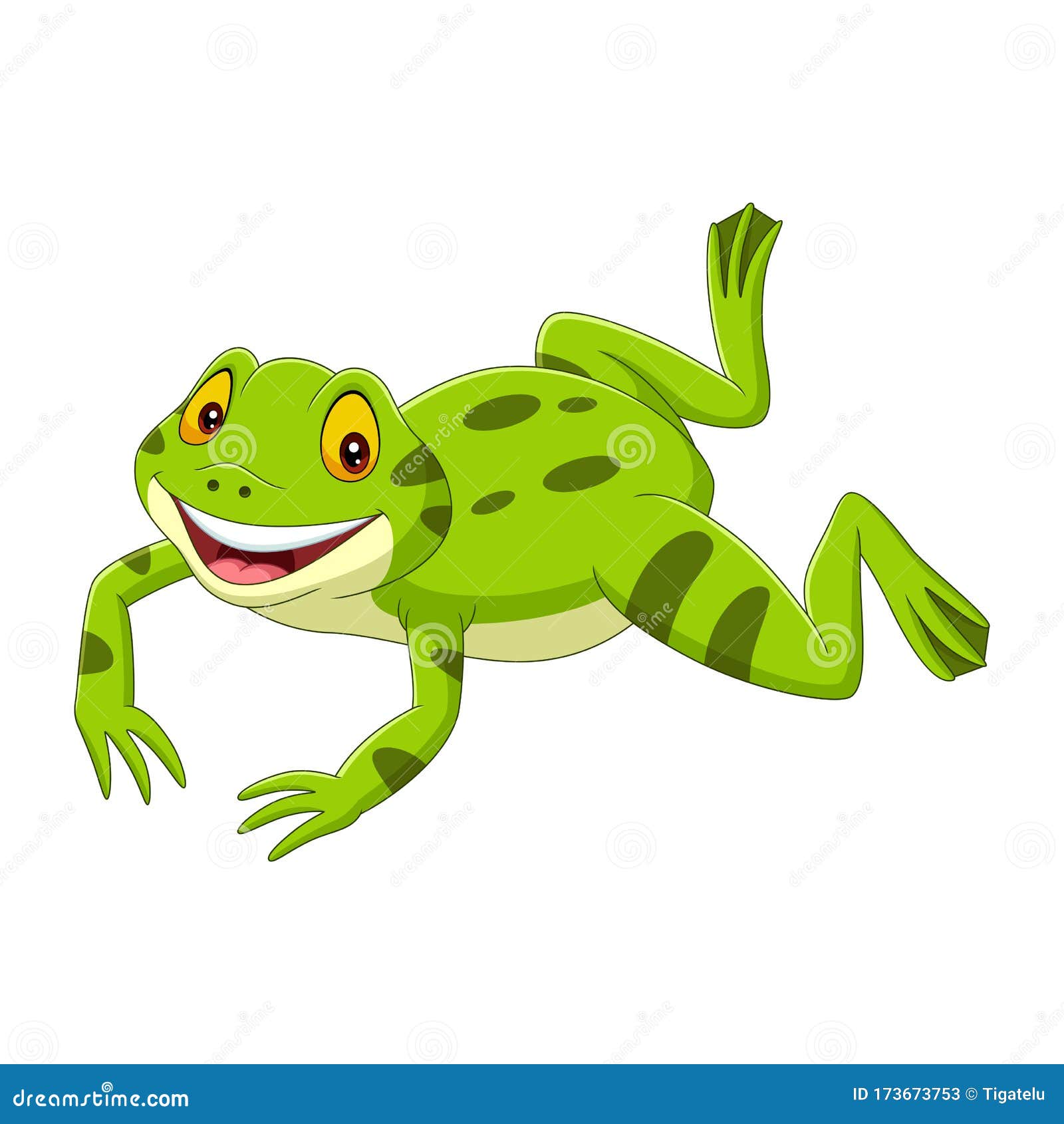 Rana Verde Feliz De Dibujos Animados Saltando Ilustración del Vector - Ilustración de reptil, fauna: 173673753 Rana Verde Feliz De Dibujos Animados Saltando Ilustración del Vector - Ilustración de reptil, fauna: 173673753