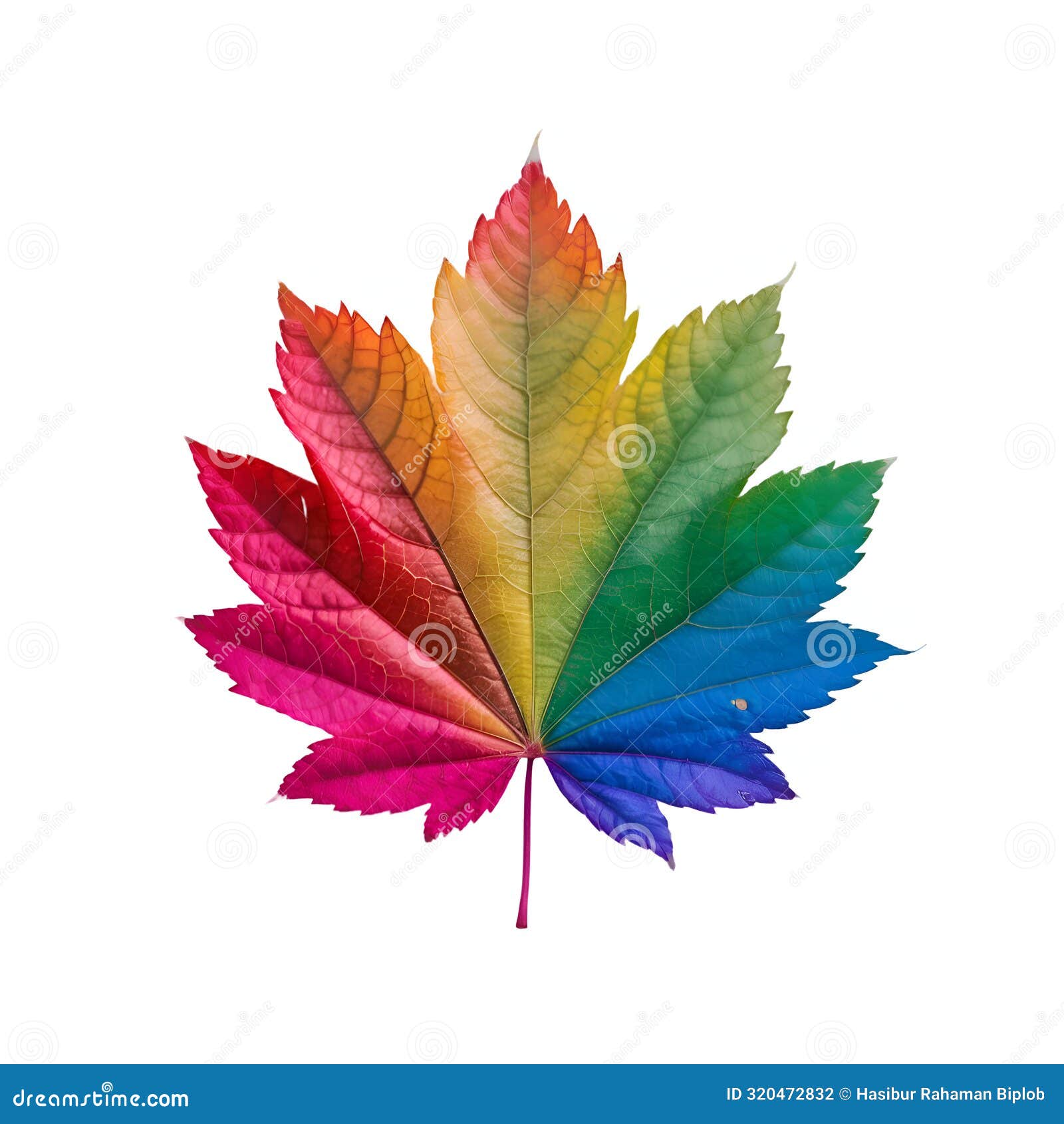 a ranbow color mix leaf