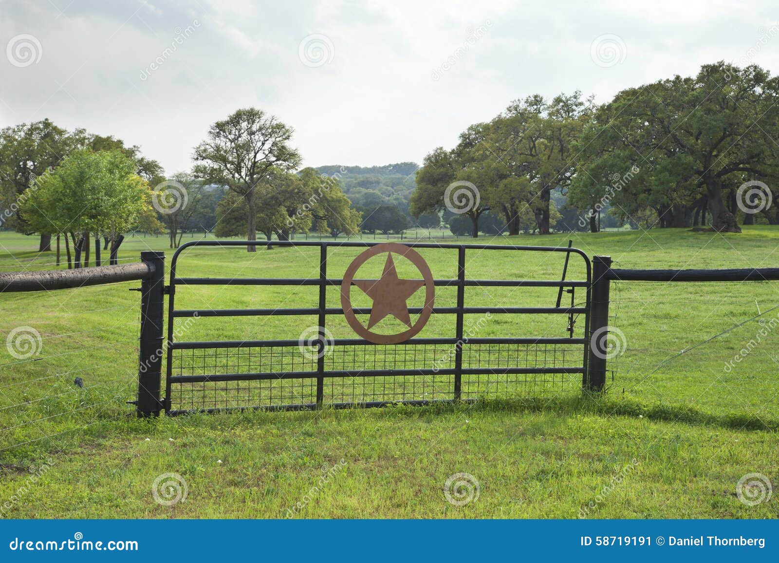 ranch gate with pasture and trees in the texas hill country
