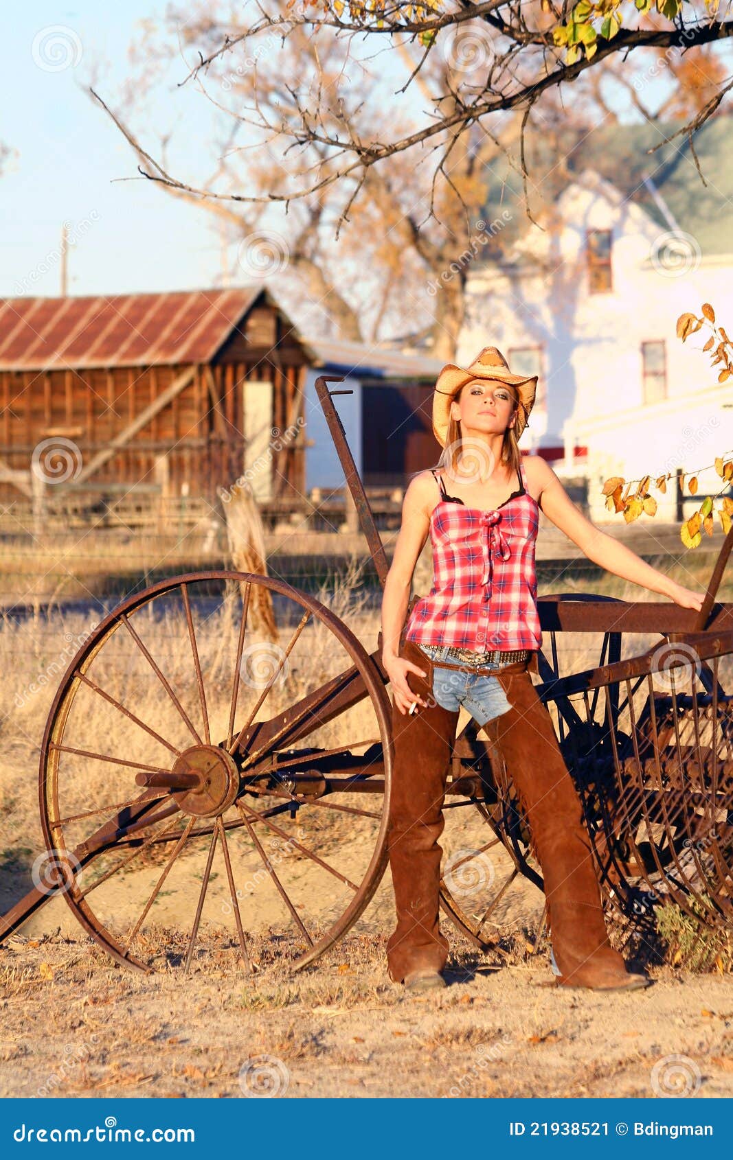    https://thumbs.dreamstime.com/z/ranch-hand-21938521.jpg  