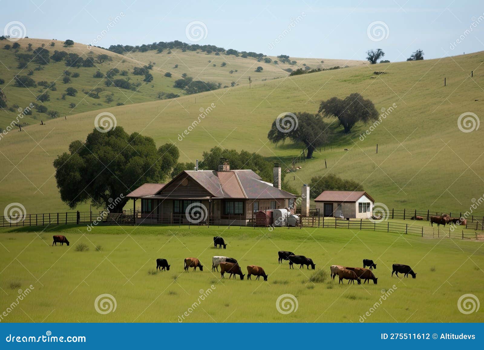Ranch House with View of Rolling Hills and Grazing Cattle Stock Photo