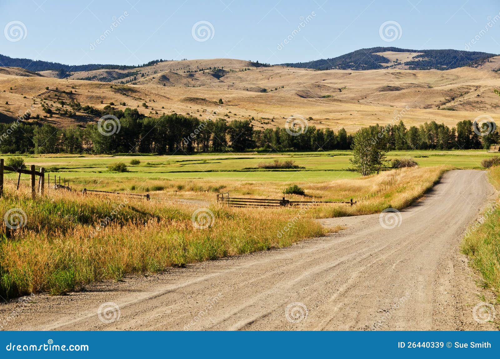 ranch land along a gravel road