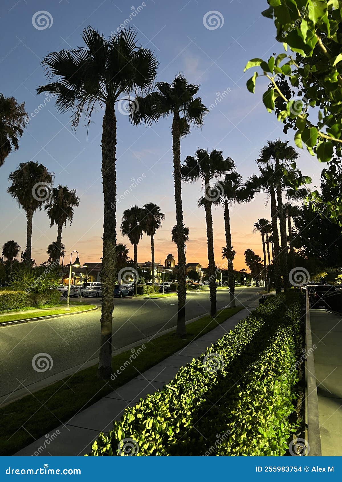 rancho cucamonga california mountain range in the desert with roads and pine trees