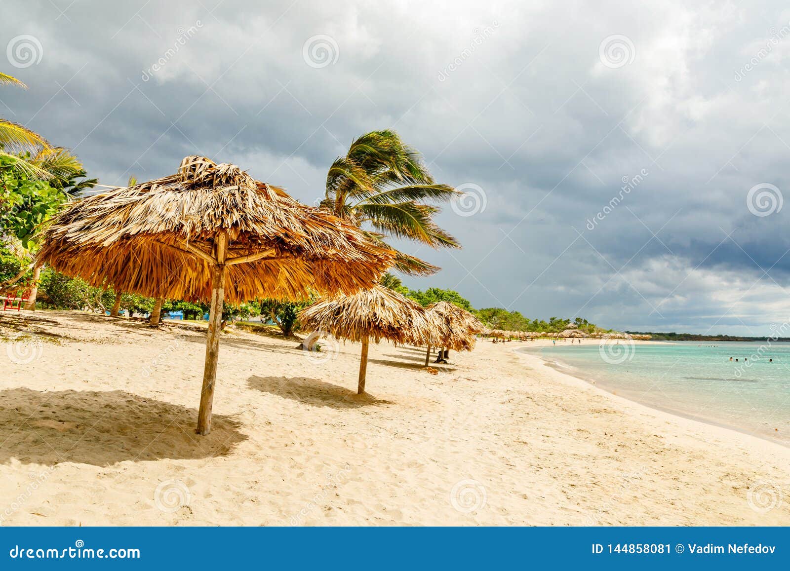 rancho luna sandy beach with palms and straw umbrellas on the shore, cienfuegos, cuba