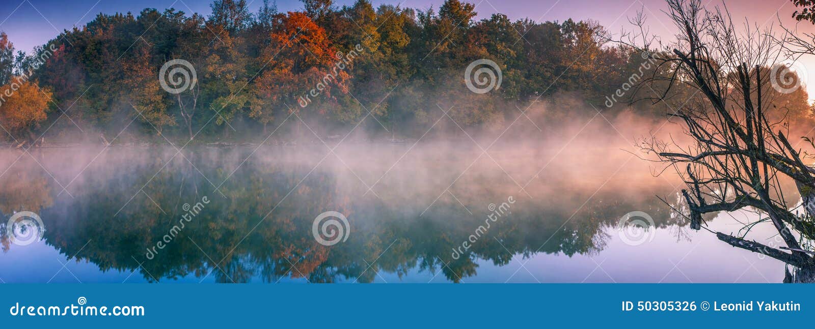 Ranek mgła na jeziorze. Mgła nad jeziorem przy świtem Lesisty Brzeg lata indyjski Horyzontalna panorama