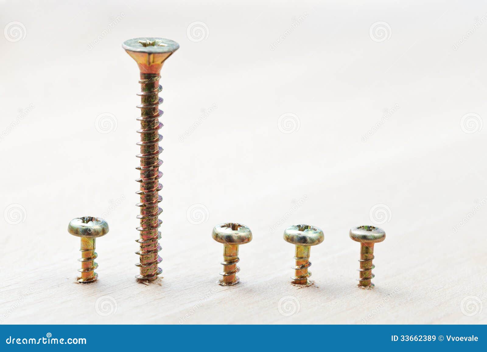 Range of Screws Wraped in Wooden Plank Stock Image Image of leader