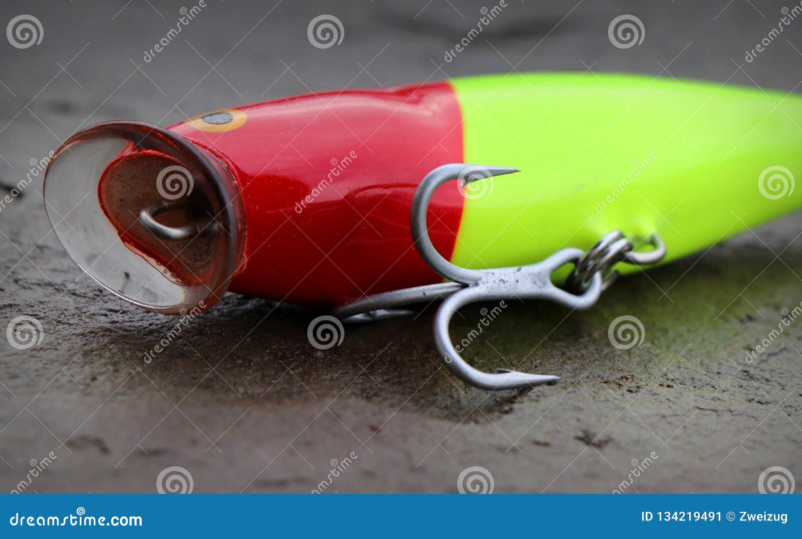 Rapala Fishing Popper Lure Plug for Large Saltwater Fish Stock Image -  Image of lifelike, large: 134219491