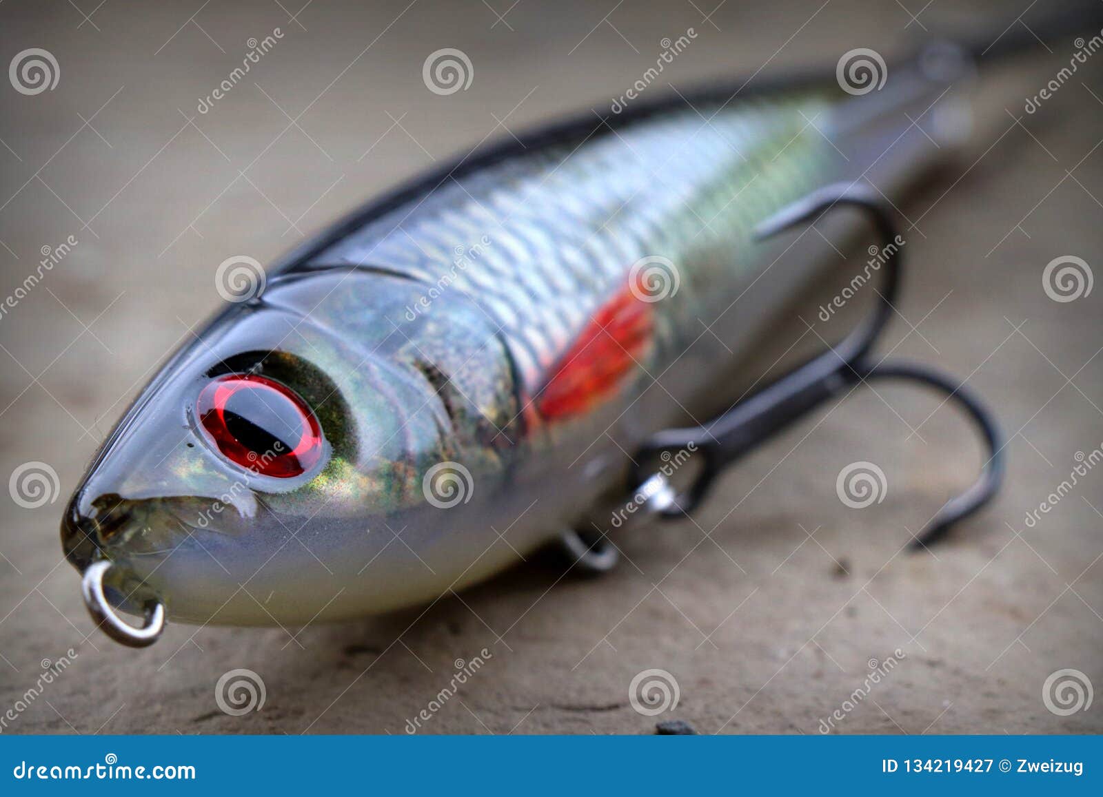 Rapala X Rap Subwalk Fishing Lure Plug for Big Predatory Fish Stock Image -  Image of perch, killers: 134219427