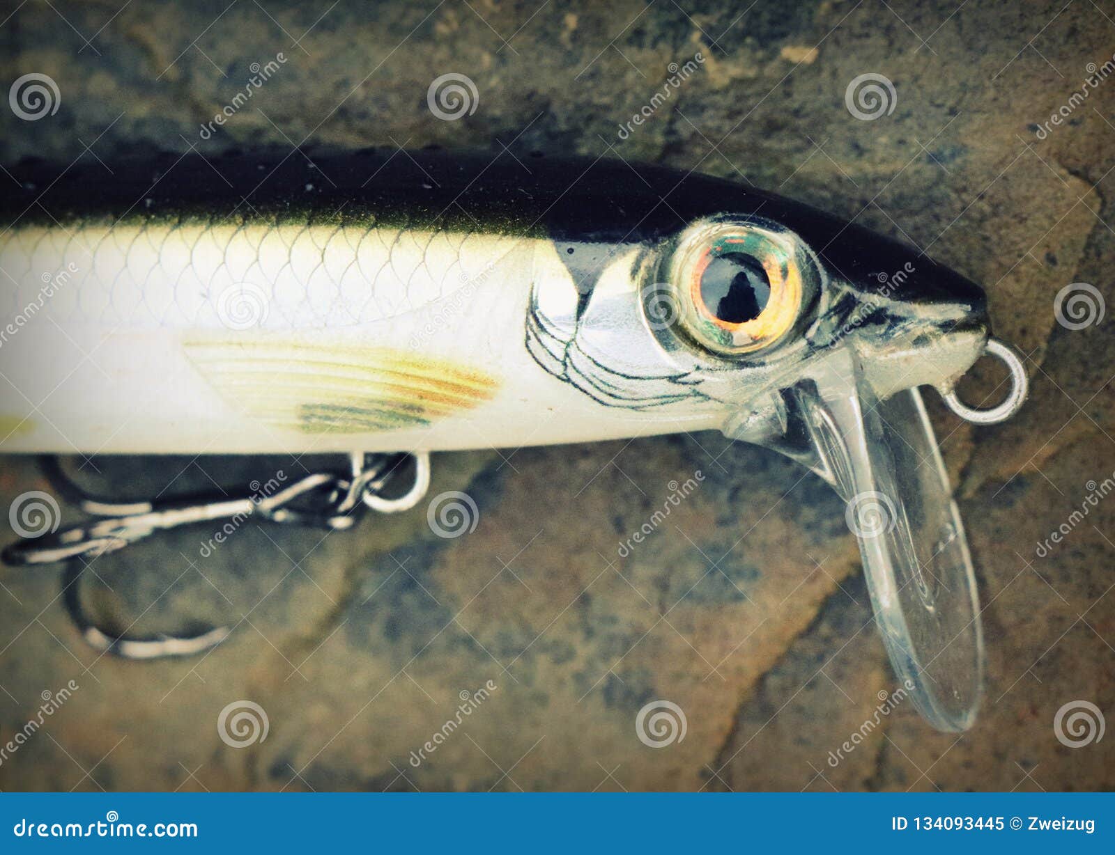 Detail of Floating Surface Fishing Lure Plug Minnow Stock Image - Image of  homemade, pair: 134093445