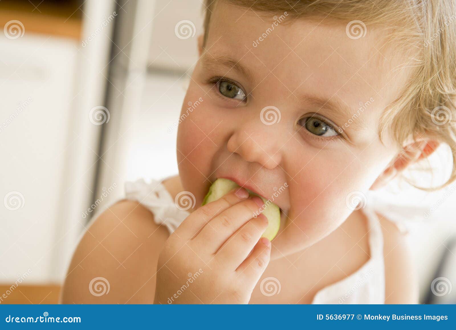 Rapariga que come a maçã dentro. Rapariga que come a maçã que olha dentro fora da câmera