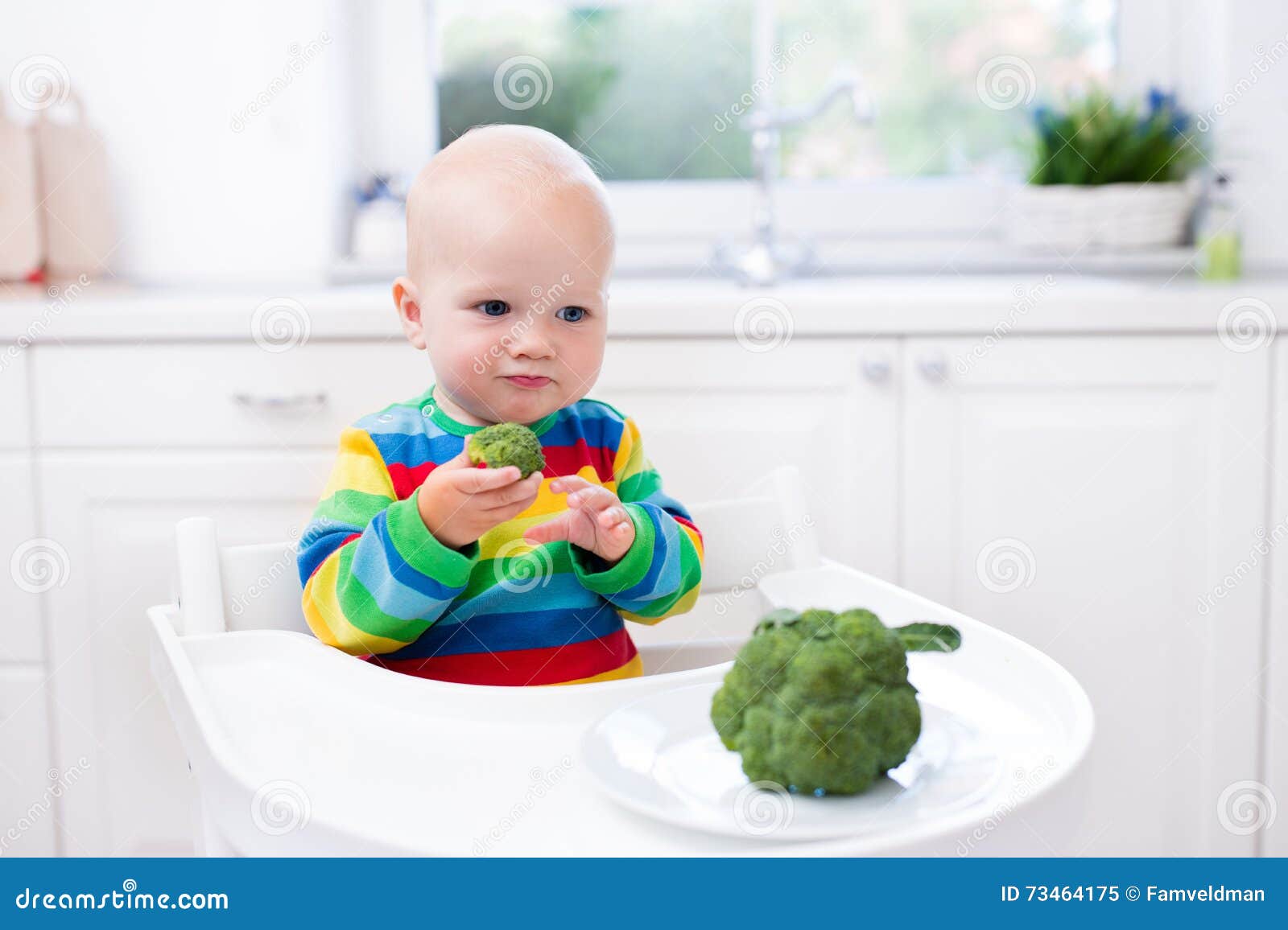 Rapaz Pequeno Que Come Brocolis Na Cozinha Branca Imagem De Stock Imagem De Alimento Infante Rapaz Pequeno Que Come Brocolis Na Cozinha Branca Imagem De Stock Imagem De Alimento Infante