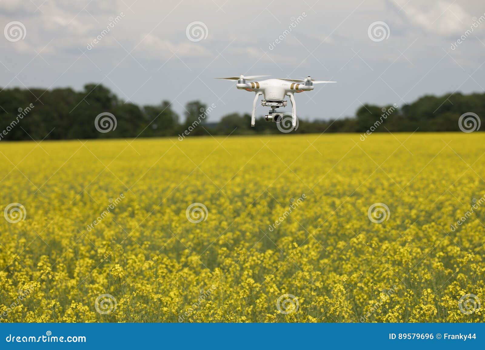 field scenery. dron in action.