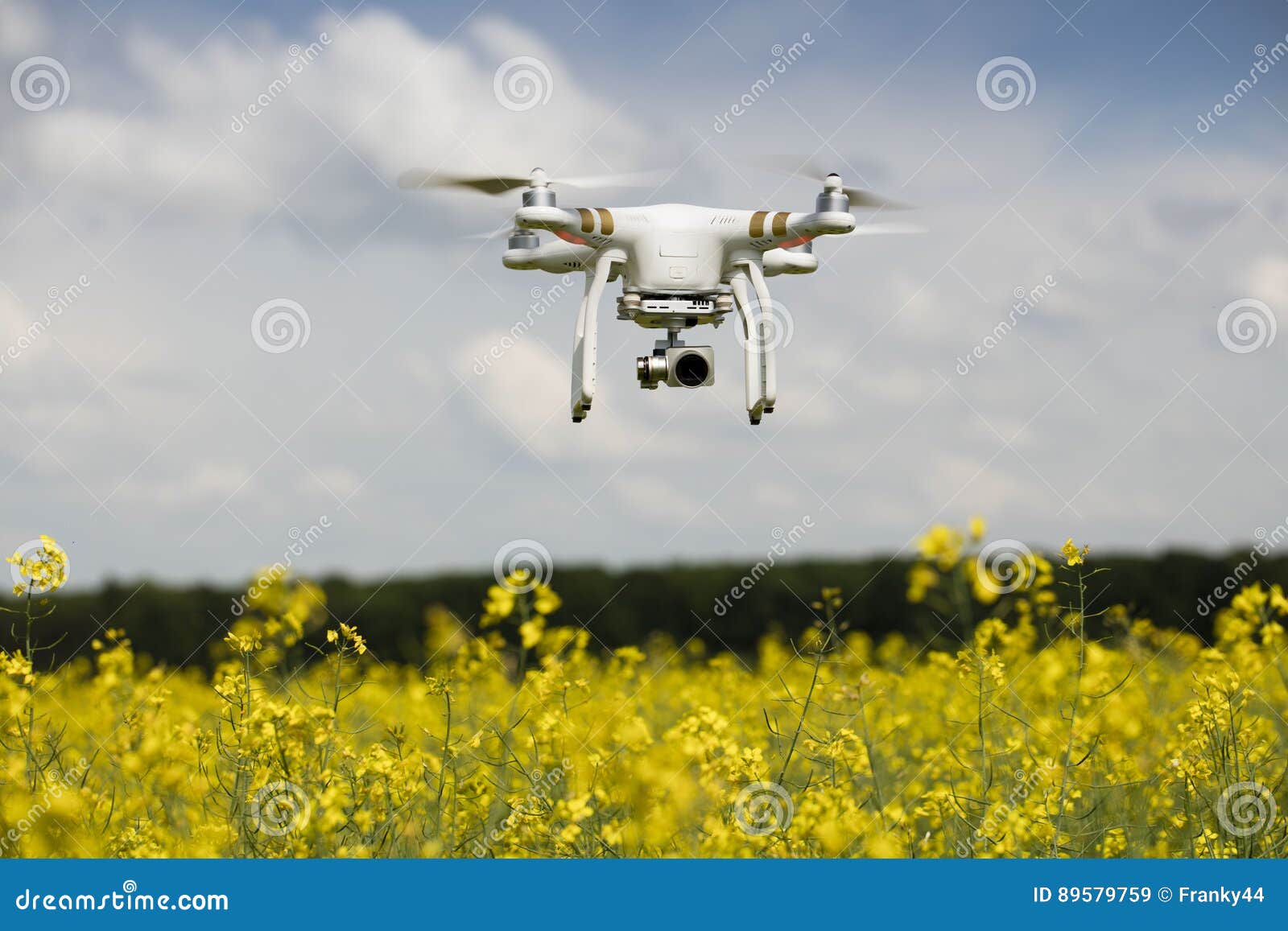 field scenery. dron in action.