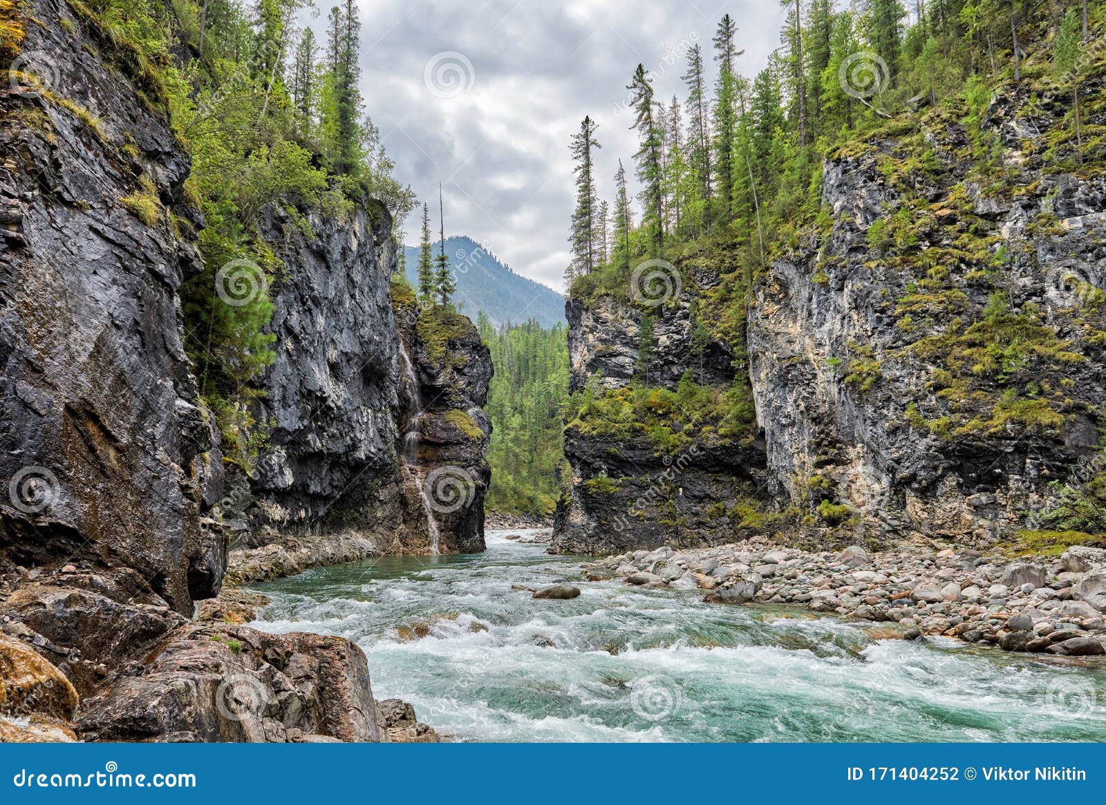 Rapid And Gorge Canyon Of Siberian Mountain Rivulet Stock Photo Image