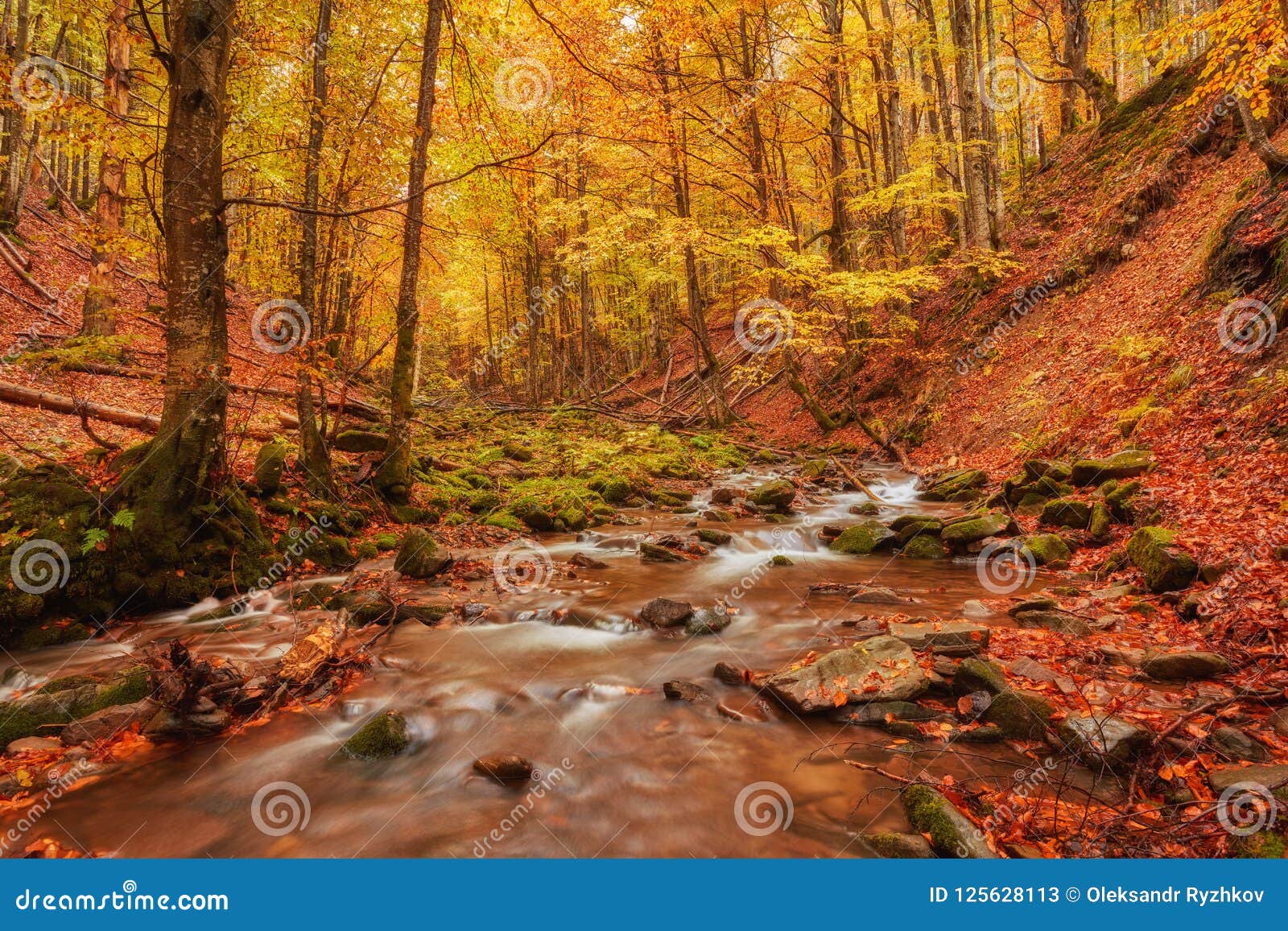 Rapid Mountain River In Autumn Stock Image Image Of Environment