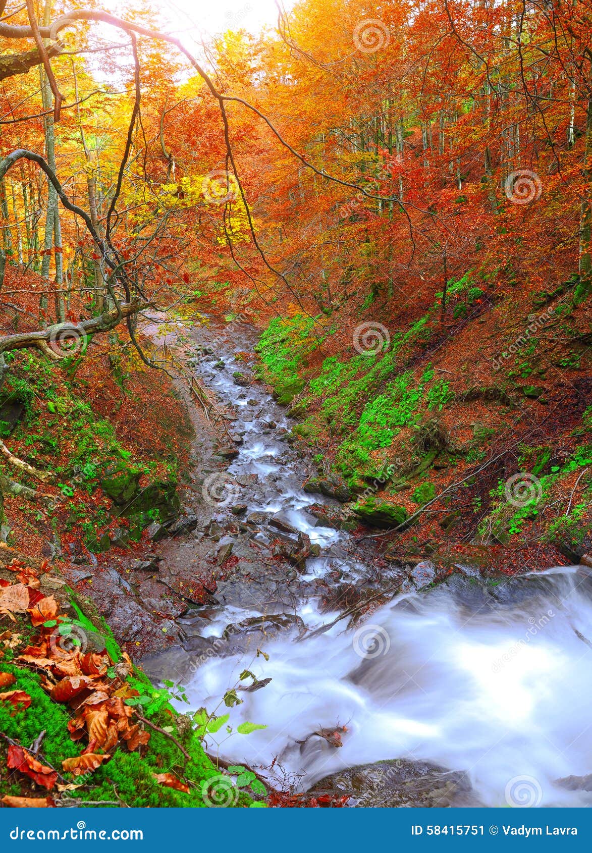 Rapid Mountain River In Autumn Stock Image Image Of Plants Branch