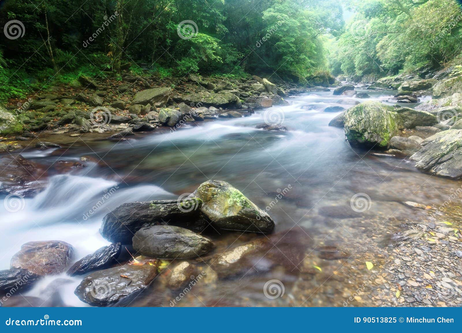 A Rapid Stream Flowing Through A Mysterious Forest Of Lush Greenery