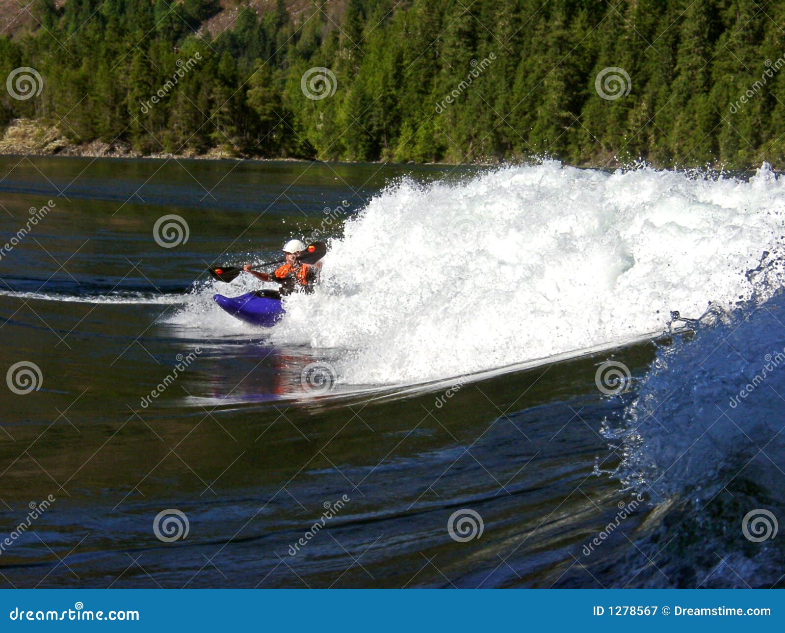 Rapids De Skookumchuck BC Imagem de Stock Imagem de britânico