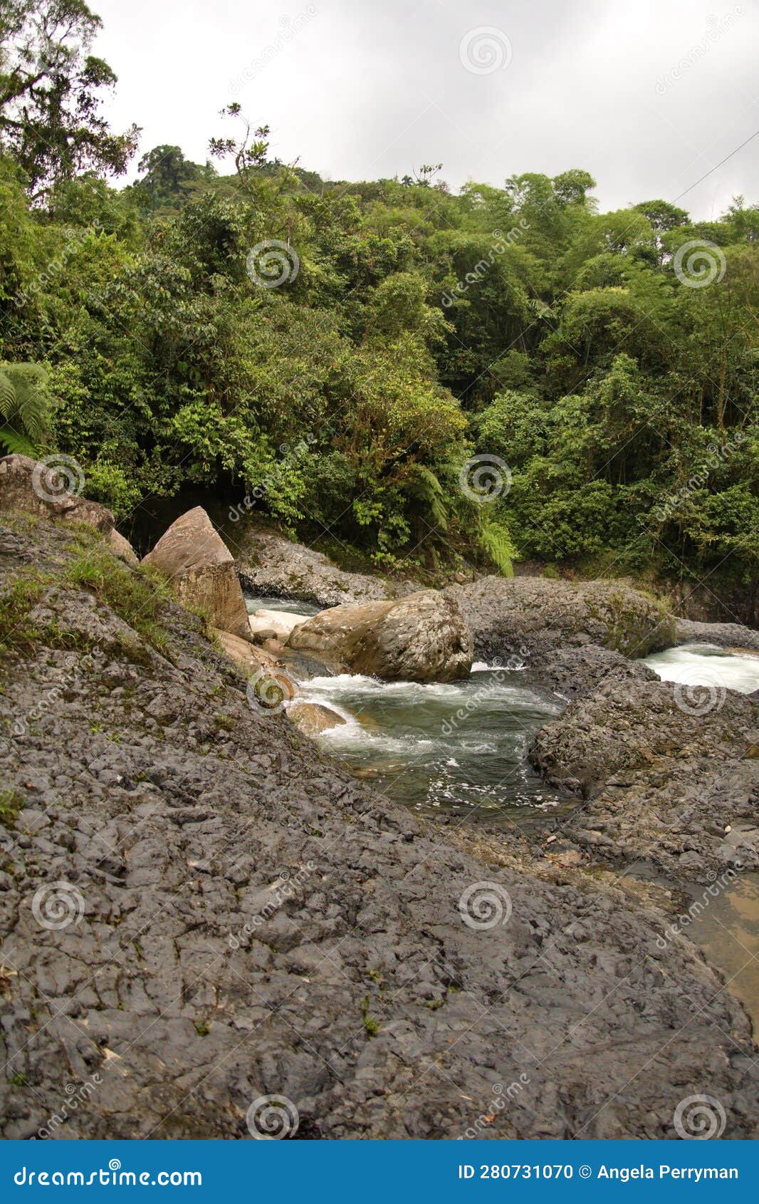 rapids on the hollin river in ecuador