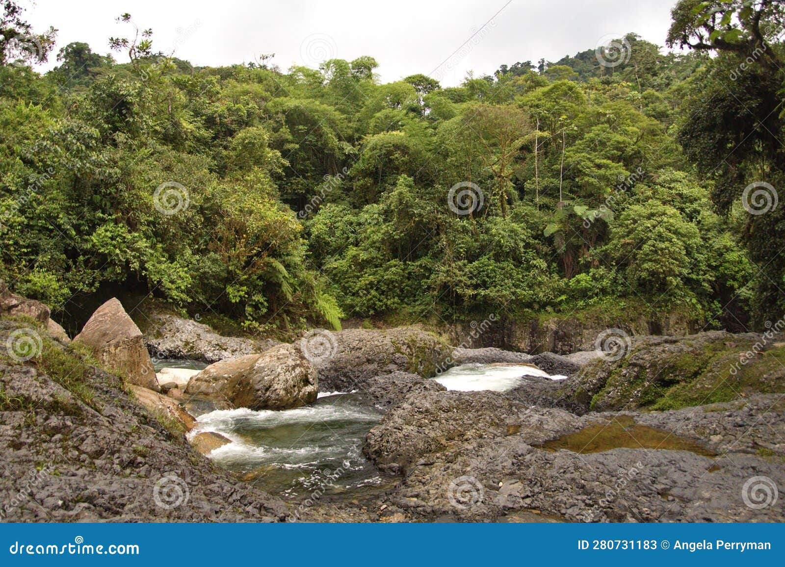 rapids on the hollin river in ecuador