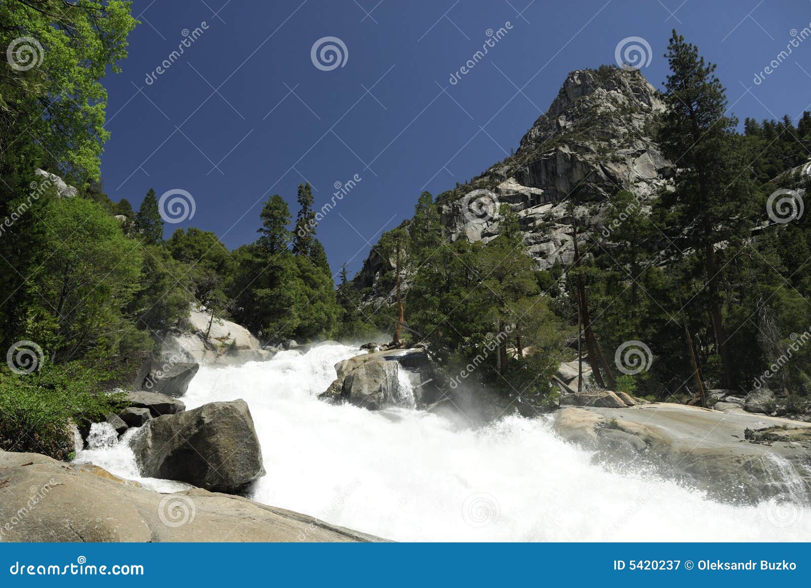 Rapids at Kings River in Sierra Nevada Mountains Stock Image Image of
