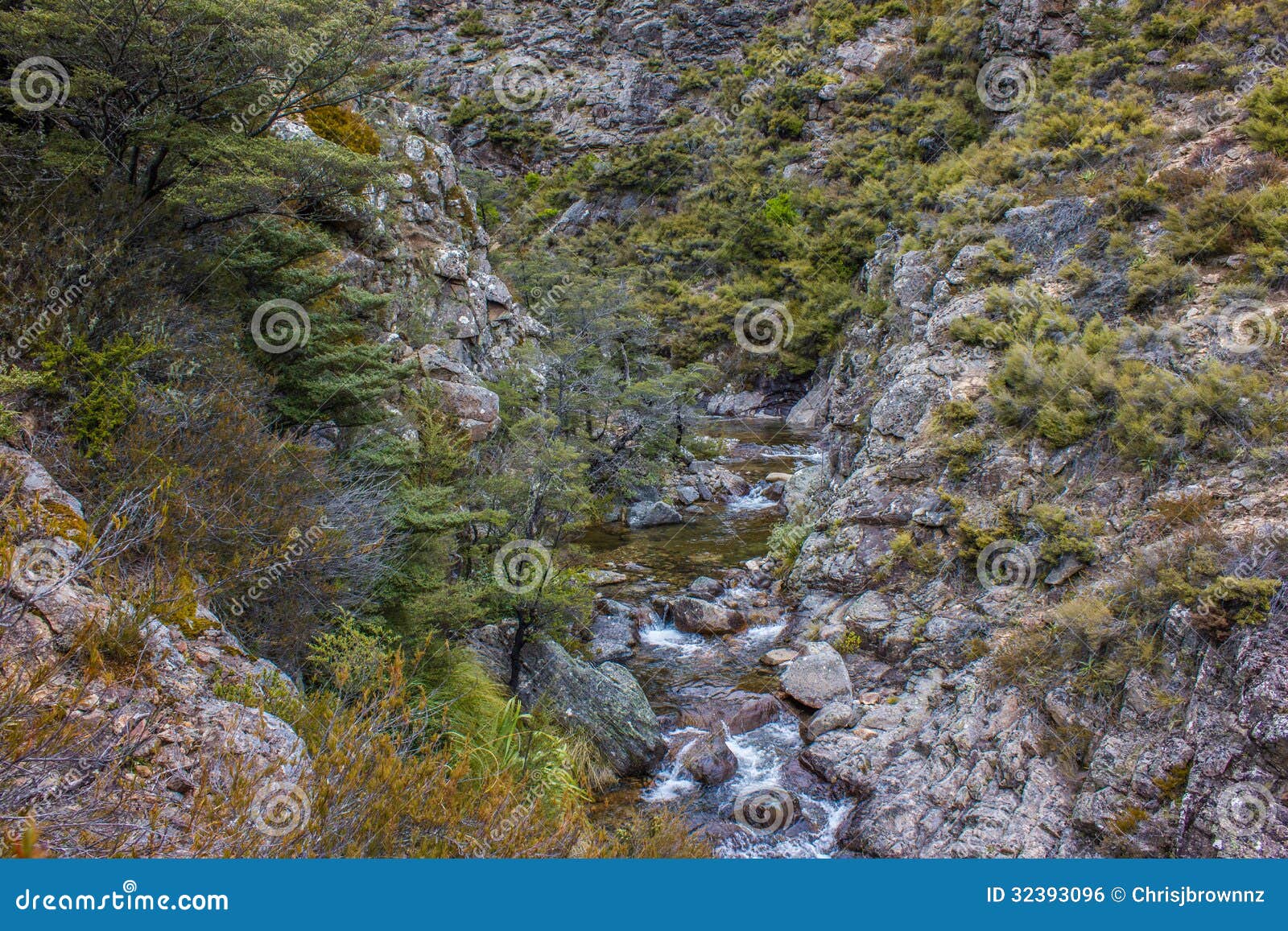 rapids in native bush mountain stream