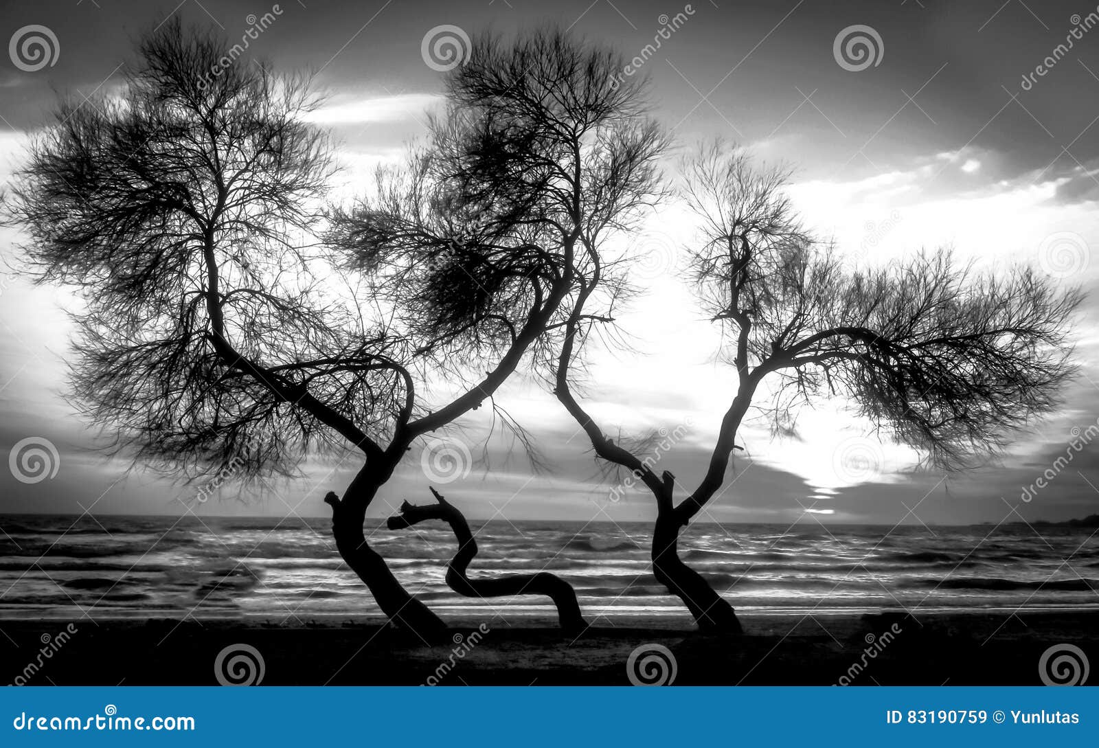 Tramonto sopra il mare sulla rappresentazione in bianco e nero della spiaggia