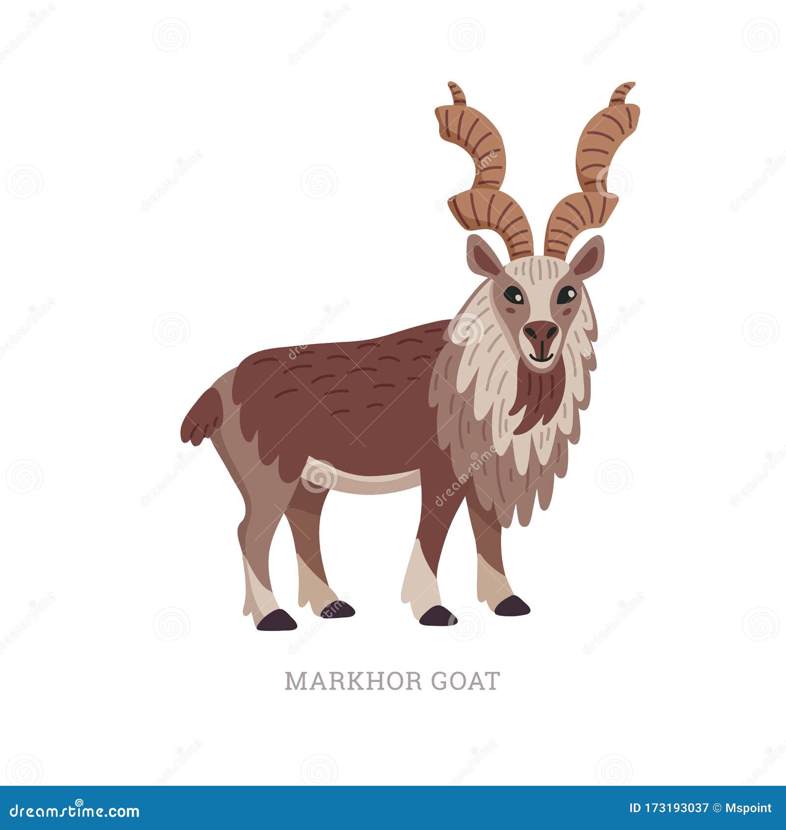 Rare Animals Collection. Markhor Goat, Capra Falconeri. National Pakistani Animal, Screw-horned Goat Stock Vector - Illustration of black, markhoor: 173193037 Rare Animals Collection. Markhor Goat, Capra Falconeri. National Pakistani Animal, Screw-horned Goat Stock Vector - Illustration of black, markhoor: 173193037