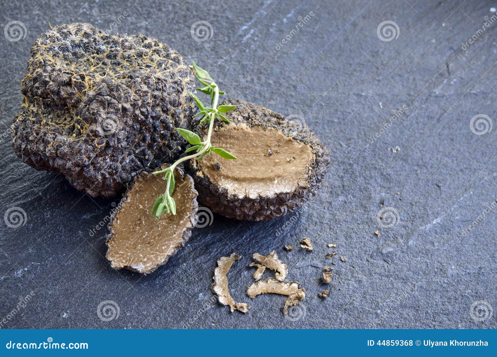 Rare and Expensive Black Truffle Stock Photo Image of vegetarian