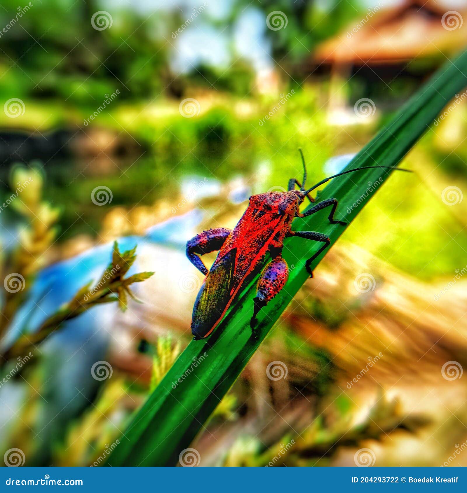 rare insects