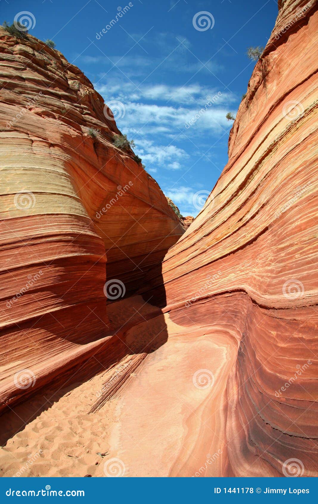 the sandstone way