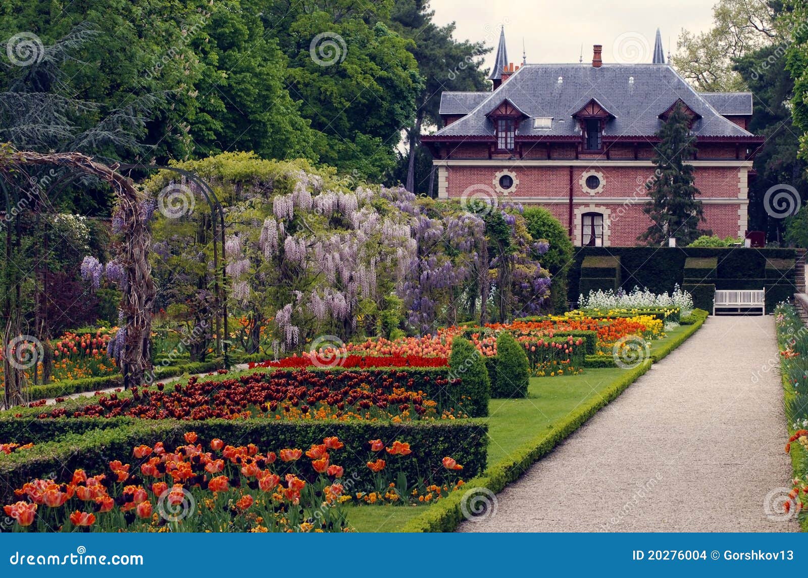 Rare Strains of Tulips in Bagatelle Park, Paris Stock Photo Image of