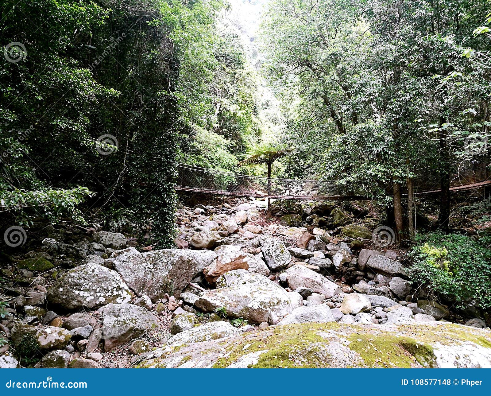 The Falls Walk Minnamurra RainforestÂ In Budderoo National Park Stock