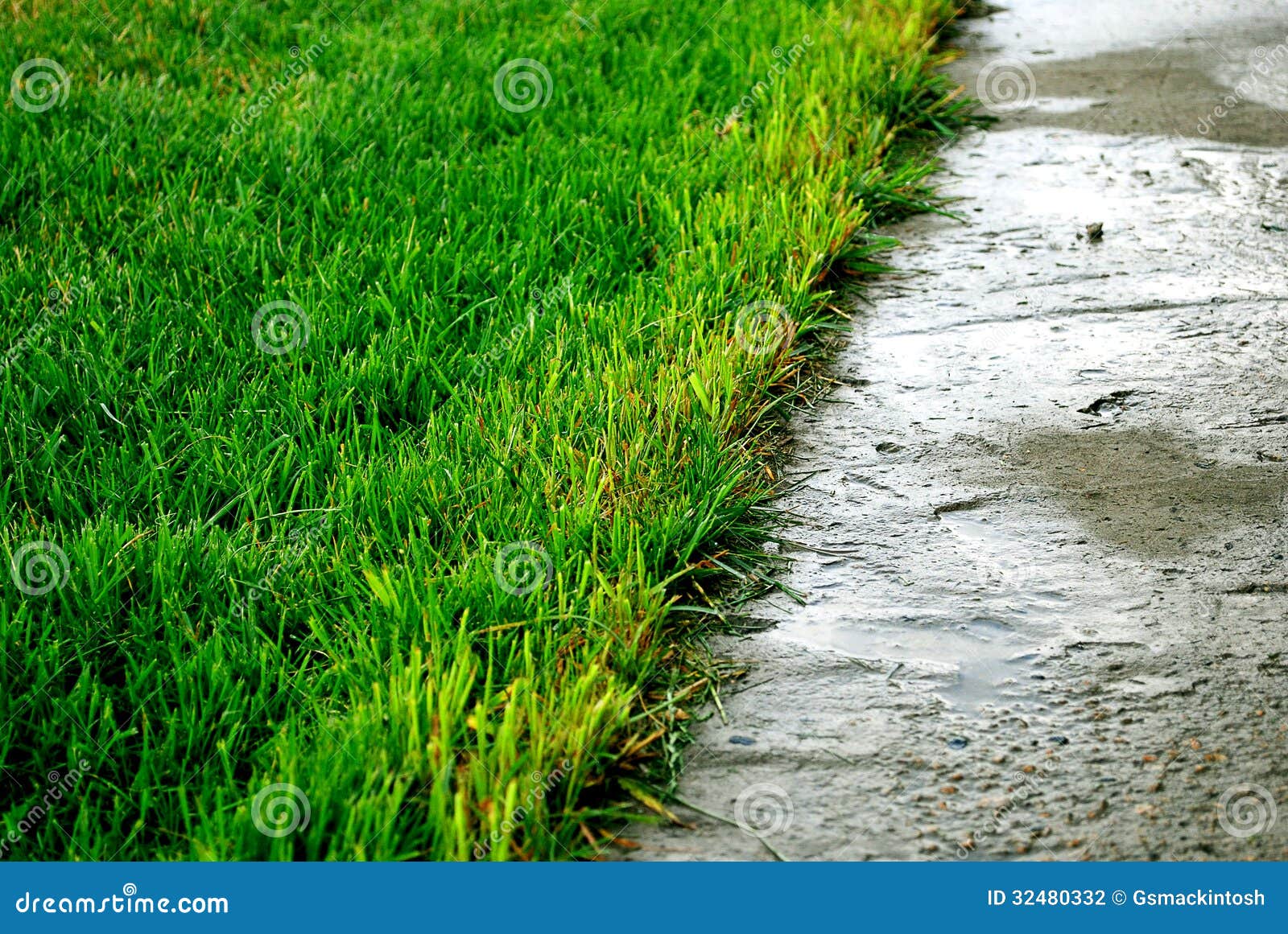 Rasen auf Beton  stockfoto Bild von stra e struktur 