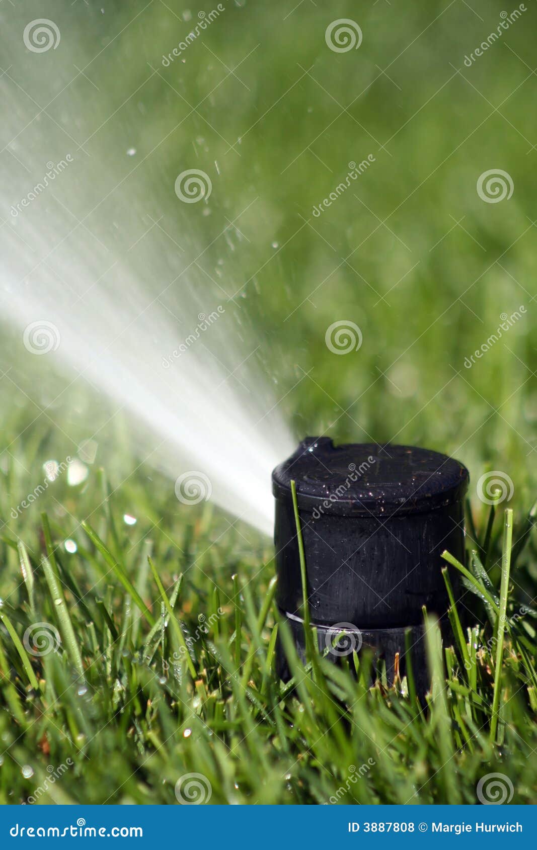 RasenSprengerKopf stockfoto. Bild von feld, exemplar 3887808
