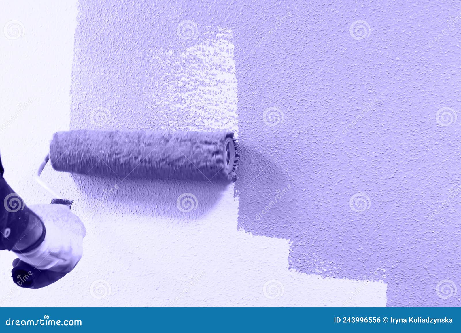 Rasit Hand Wall Paint Using a Paint Roller while Working Indoors Stock