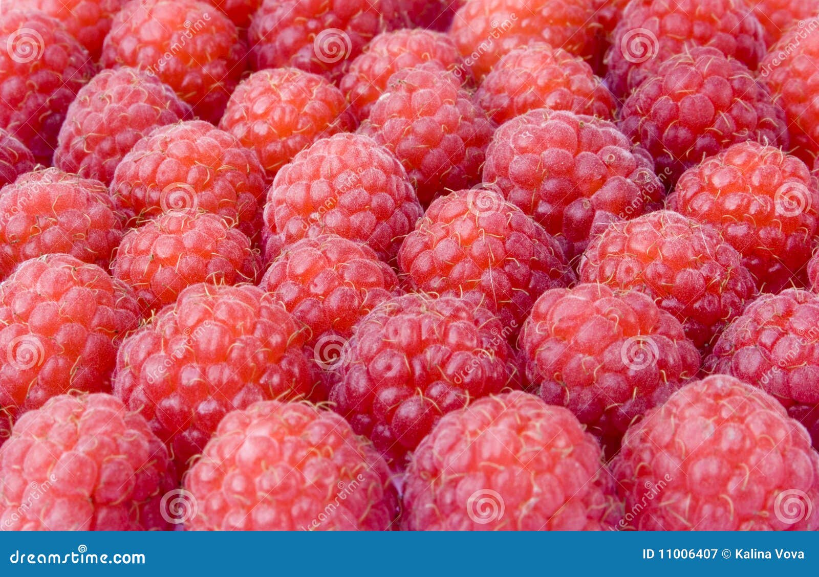 Raspberries stock image. Image of delicious, flavor, food 11006407
