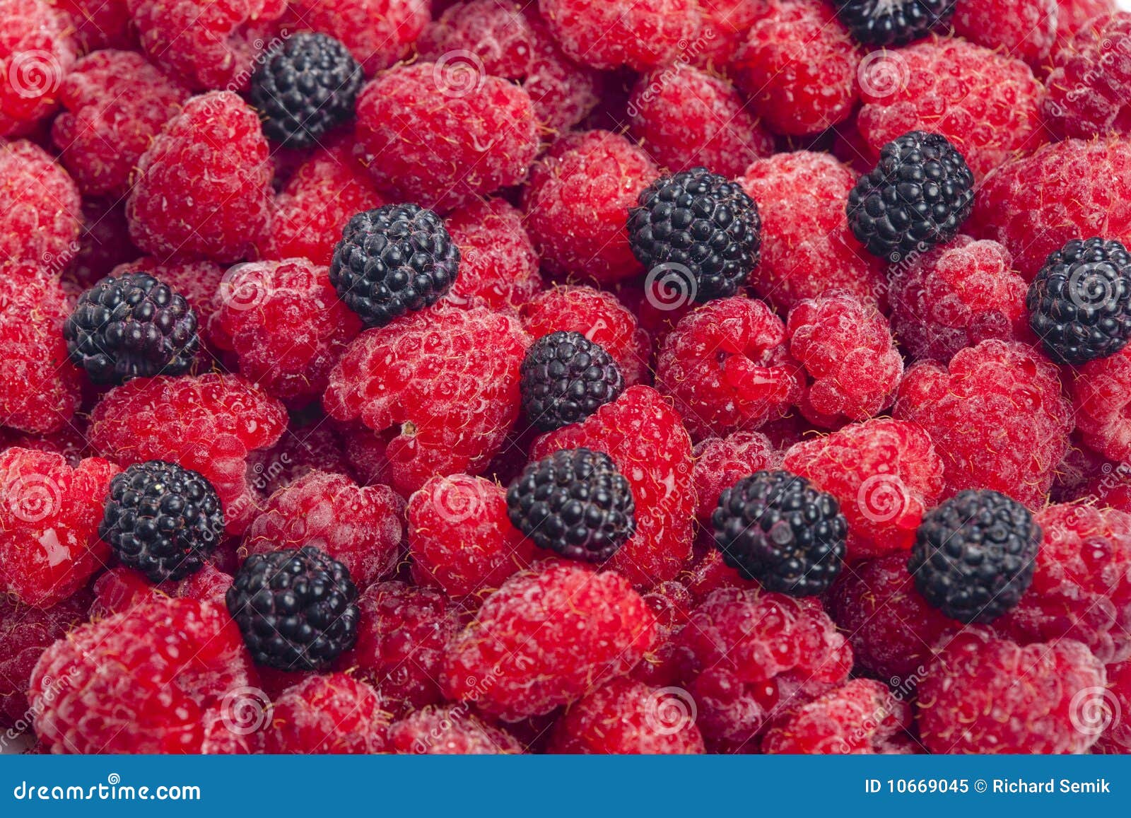 Raspberries and Blackberries Stock Image Image of fruit, backgrounds