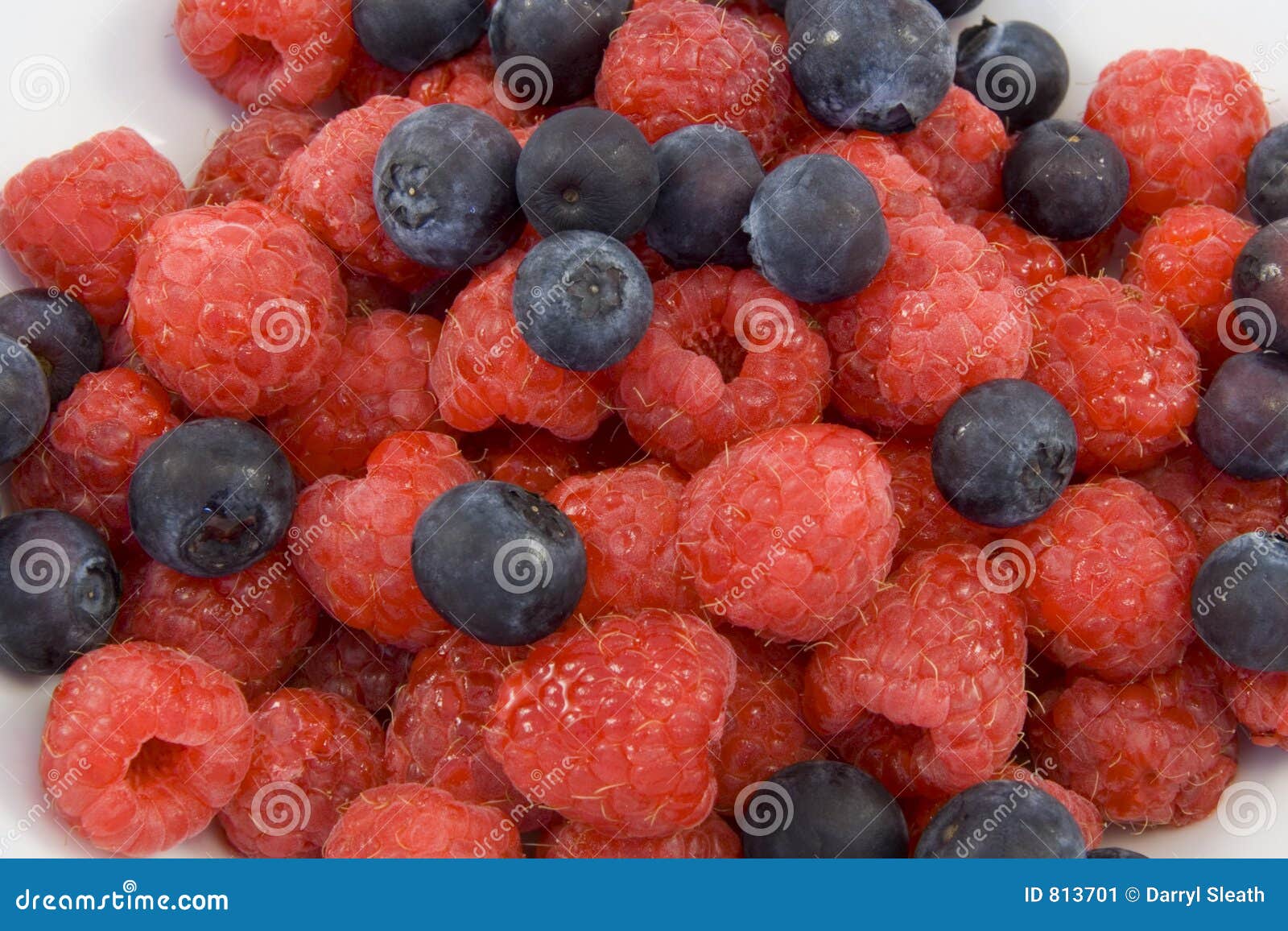 Raspberries and Blueberries Stock Image Image of white, hairy 813701