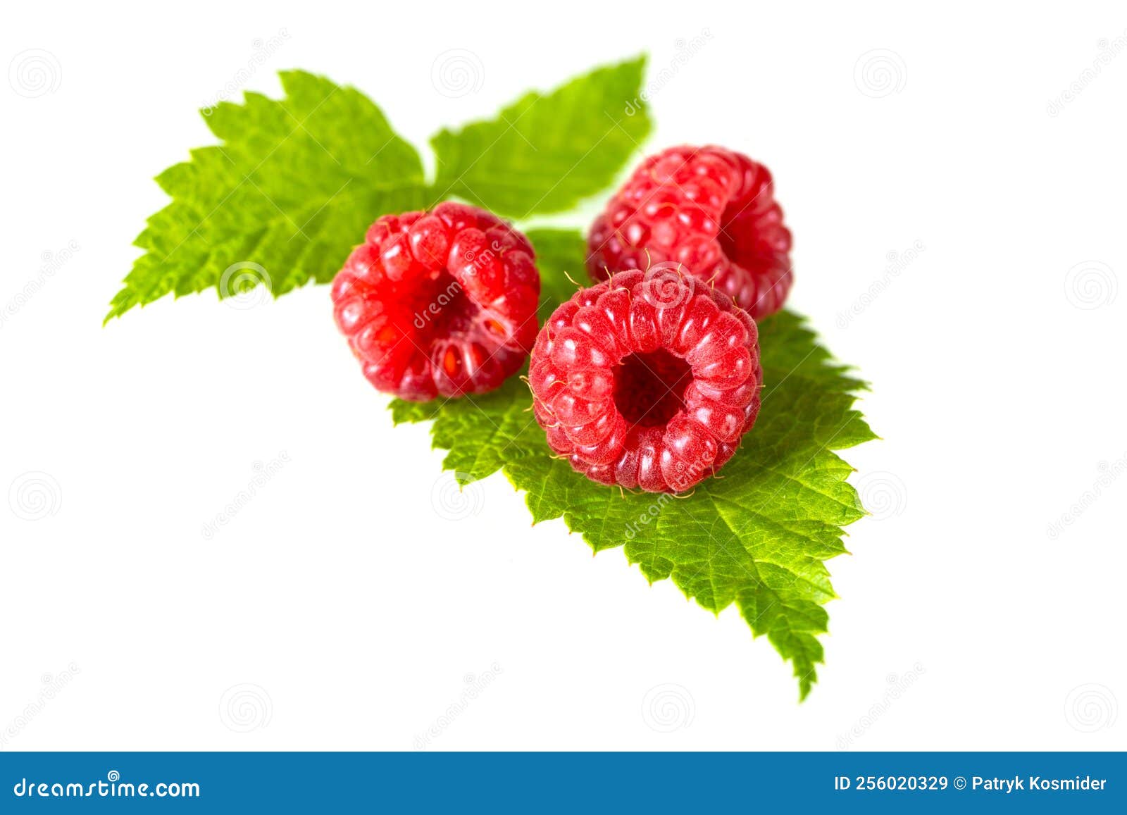 Raspberries with Leaves Isolated on a White Background Stock Image