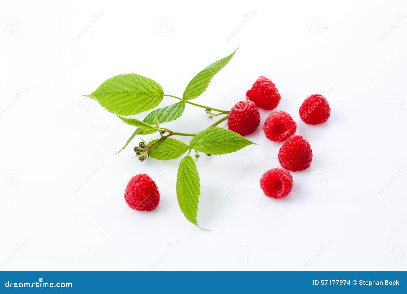 Raspberries and leaves stock photo. Image of food, fruits - 57177974