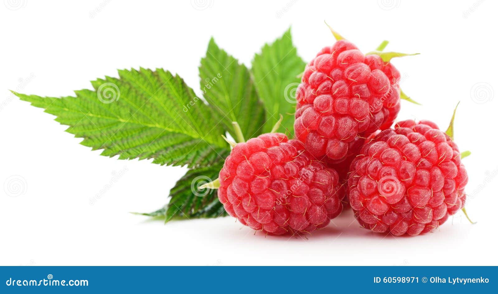 Raspberries and leaves. stock image. Image of pink, leaves - 60598971