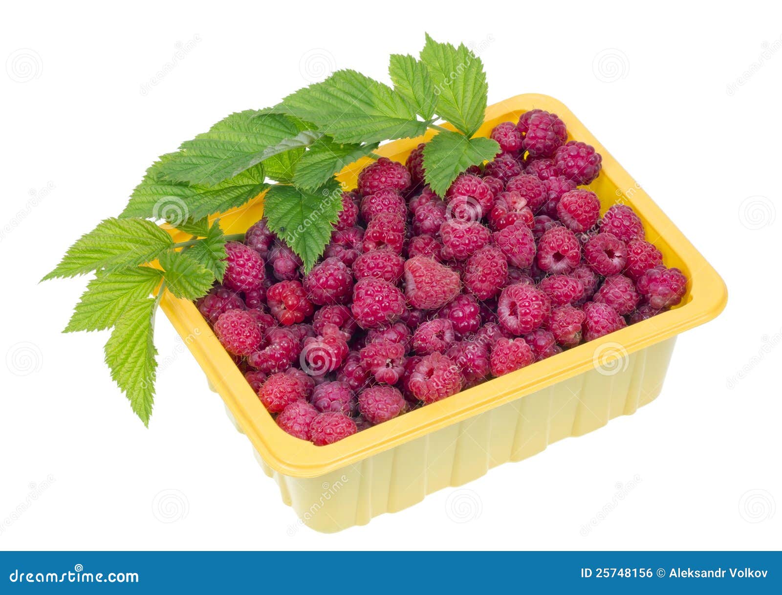 Download Raspberries In A Yellow Plastic Container Stock Photo Image Of Harvesting Container 25748156 Yellowimages Mockups